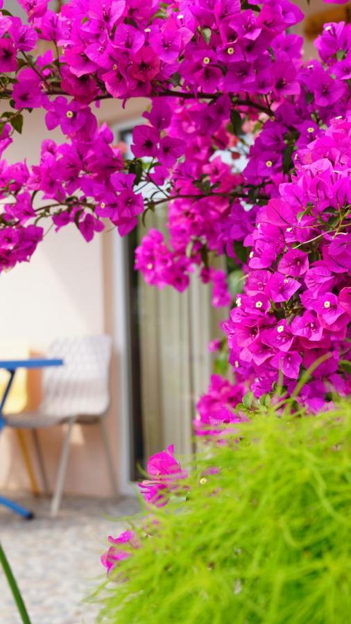 Yelken Bungalov Bed & Breakfast Milas Eksteriør bilde